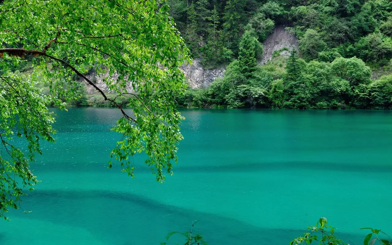 高性能高端